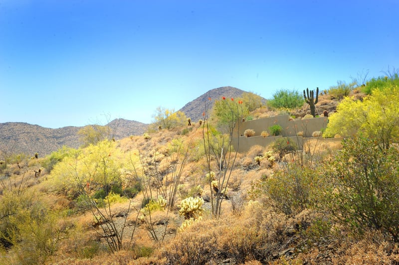 14317 Mourning Dove Dr #86, Fountain Hills, AZ 85268