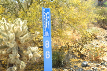 14317 Mourning Dove Dr #86, Fountain Hills, AZ 85268