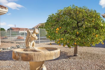 14321 Gunsight Dr, Sun City West, AZ 85375