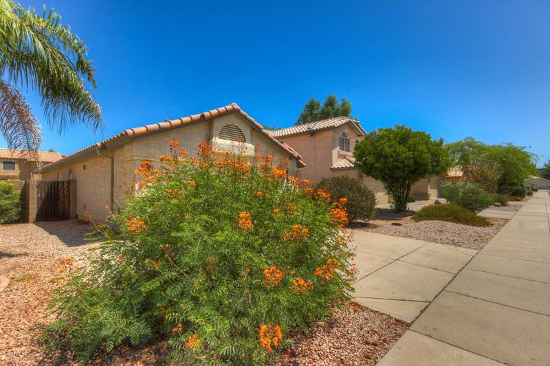 1434 E Comstock Dr, Gilbert, AZ 85296