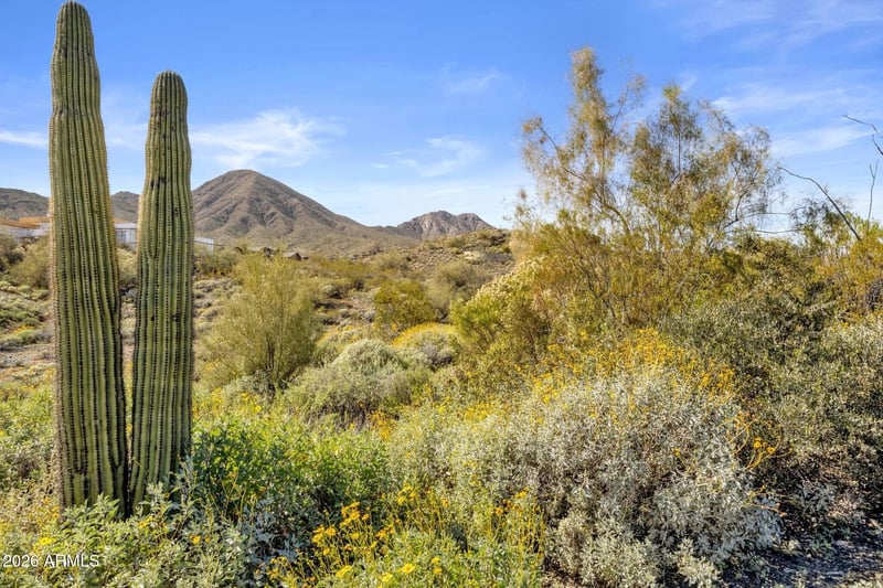 14341 Mourning Dove Dr #84, Fountain Hills, AZ 85268