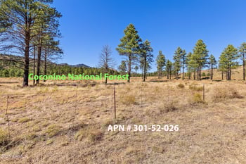 14380 Ventoso Ct #25, Flagstaff, AZ 86004