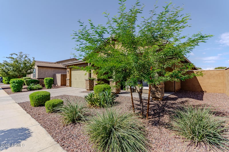 14390 Eugene Ter, Surprise, AZ 85379