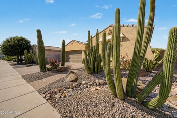 14398 W Almeria Rd, Goodyear, AZ 85395