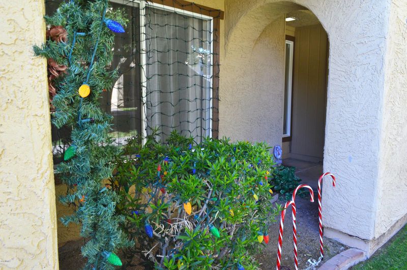 14409 N 58th Ave, Glendale, AZ 85306