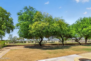 1442 S 167th Dr, Goodyear, AZ 85338