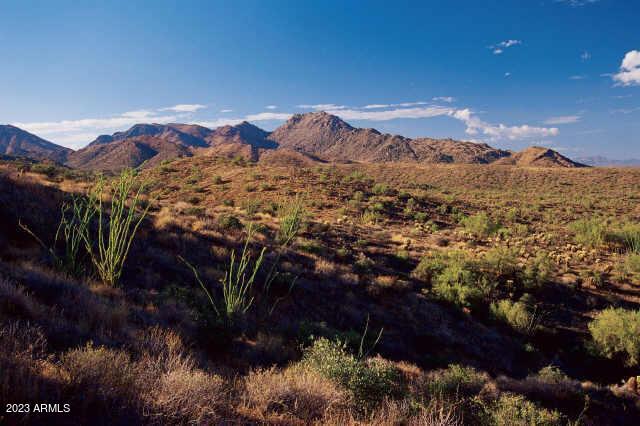 14433 Desert Tortoise Trl #24, Fountain Hills, AZ 85268