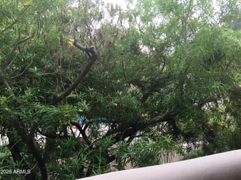 1449 Highland Ave #6, Phoenix, AZ 85014