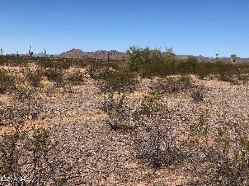 144XX W Dynamite Blvd #-, Surprise, AZ 85378