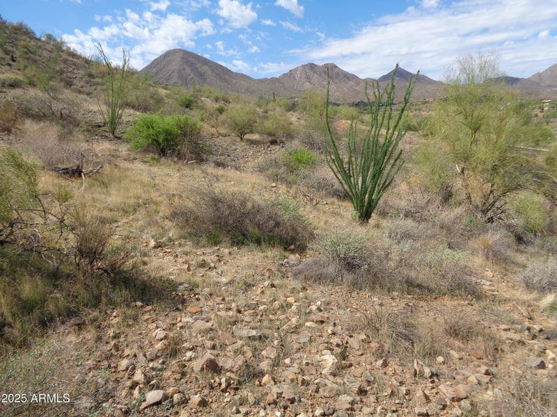 14539 Prairie Dog Trl #11, Fountain Hills, AZ 85268