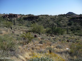 14541 Sierra Alegre Ct #16, Fountain Hills, AZ 85268