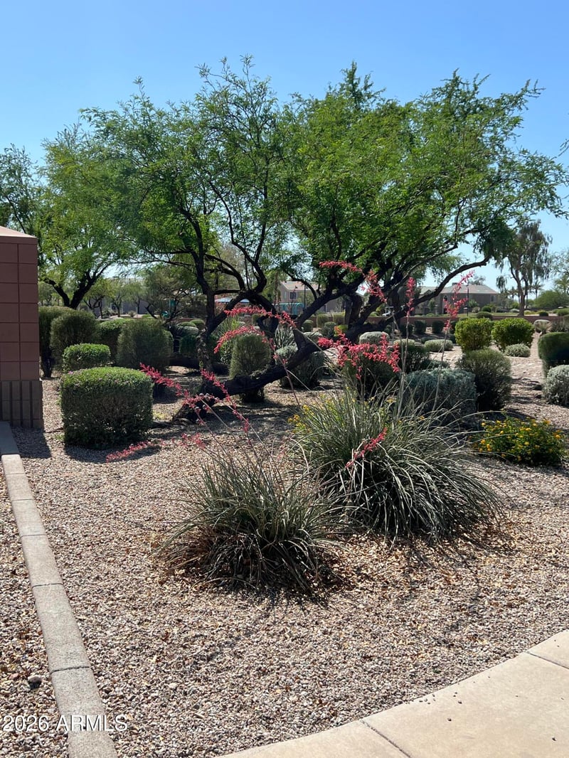 14614 126th Ave, El Mirage, AZ 85335