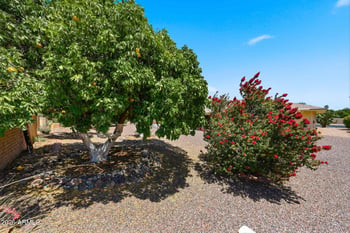14630 Lakeforest Dr, Sun City, AZ 85351