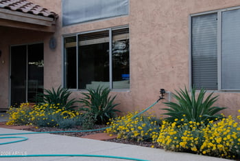 147 E Palo Blanco Way, Gilbert, AZ 85296