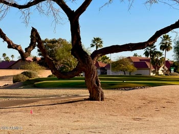 14718 Blue Verde Dr, Sun City West, AZ 85375