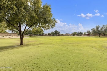 14719 Ely Dr, Surprise, AZ 85374