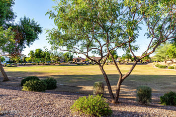 1493 Primavera Way, San Tan Valley, AZ 85140