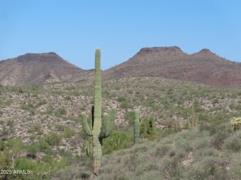 15-C White Face Canyon Dr #15-C, Fort Mcdowell, AZ 85264