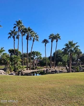 15028 W Bottle Tree Ave, Surprise, AZ 85374
