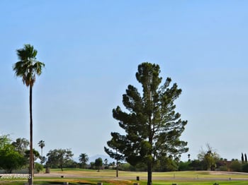 15041 Brook Hollow Rd, Arizona City, AZ 85123