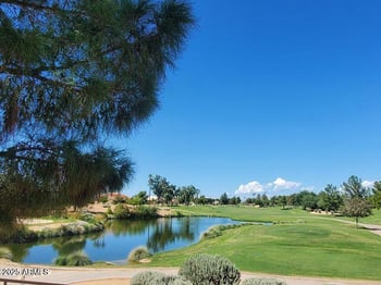 15208 Las Brizas Ln, Sun City West, AZ 85375