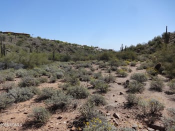 15210 Stardust Dr #46, Fountain Hills, AZ 85268