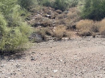 15229 Sunburst Dr #3, Fountain Hills, AZ 85268