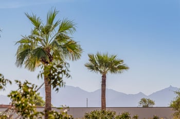 15233 Jackson St, Goodyear, AZ 85338