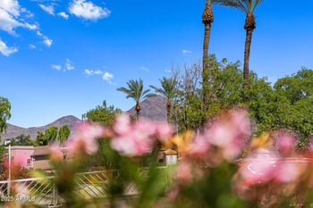 15252 100th St #1153, Scottsdale, AZ 85260