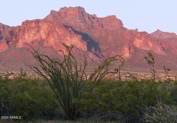 1532 Roadrunner Rd, Apache Junction, AZ 85119