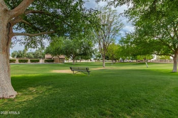 1535 Horne -- #67, Mesa, AZ 85203