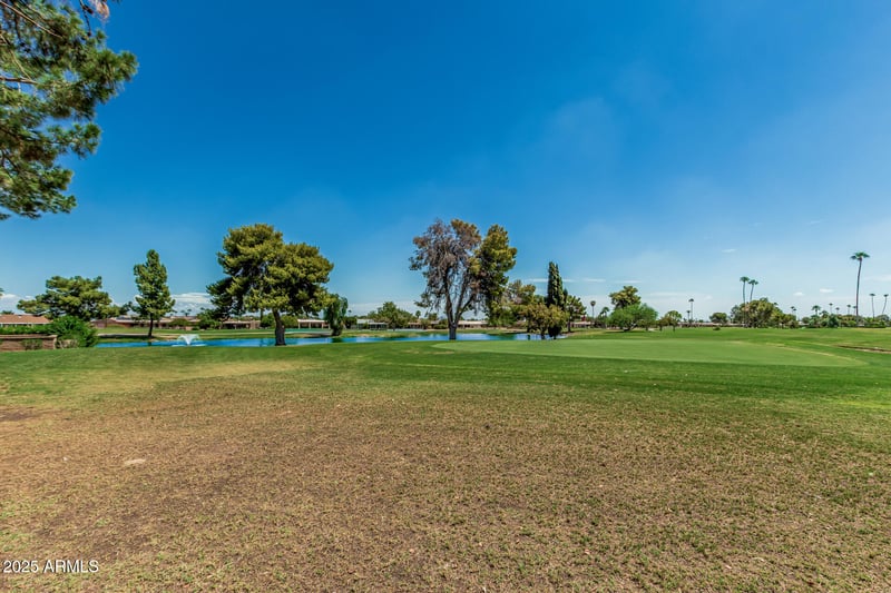 15401 Cameo Dr, Sun City, AZ 85351