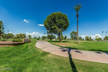 15401 N Cameo Dr, Sun City, AZ 85351