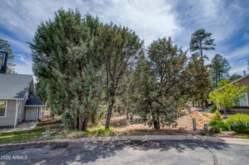 1541 Huning -- #4, Show Low, AZ 85901