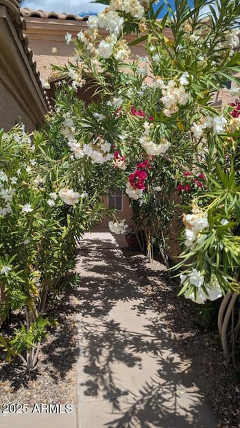 15427 6th Dr, Phoenix, AZ 85045