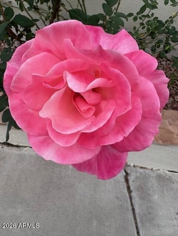 155 Brookside St, Chandler, AZ 85225