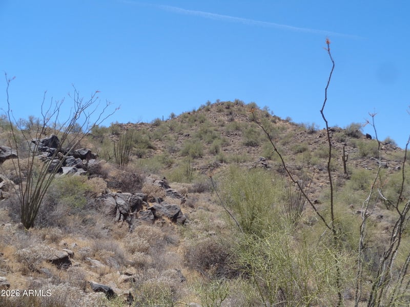15518 Javelina Trl #214, Fountain Hills, AZ 85268