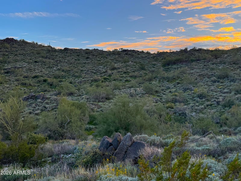 15529 N Javelina Trl #216, Fountain Hills, AZ 85268