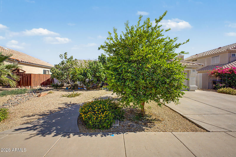1553 W Chicago St, Chandler, AZ 85224