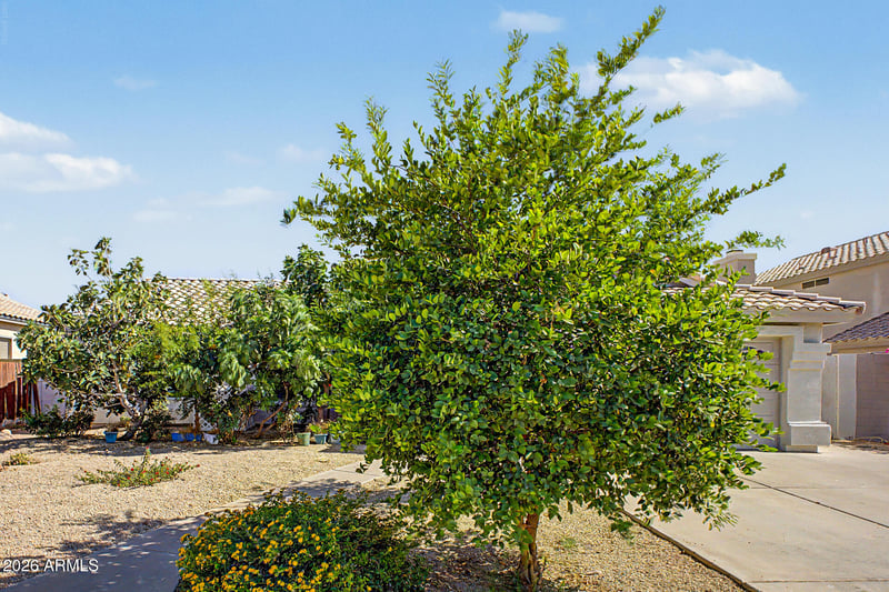 1553 W Chicago St, Chandler, AZ 85224