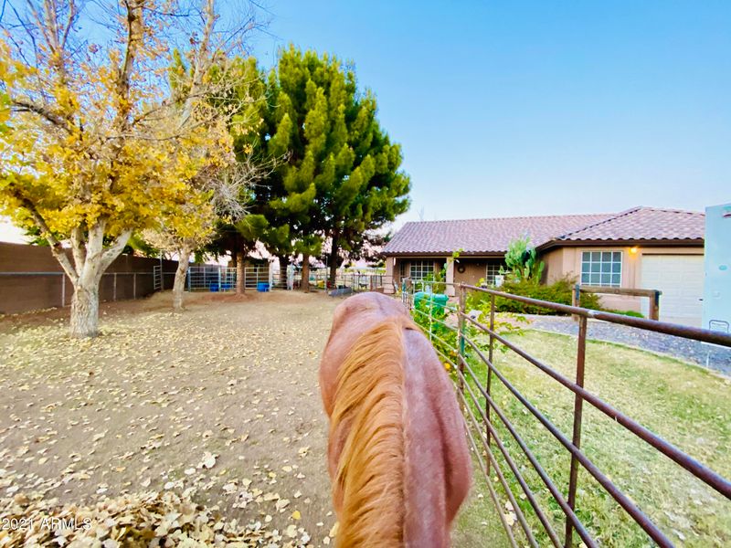 15548 E Via Del Palo --, Gilbert, AZ 85298