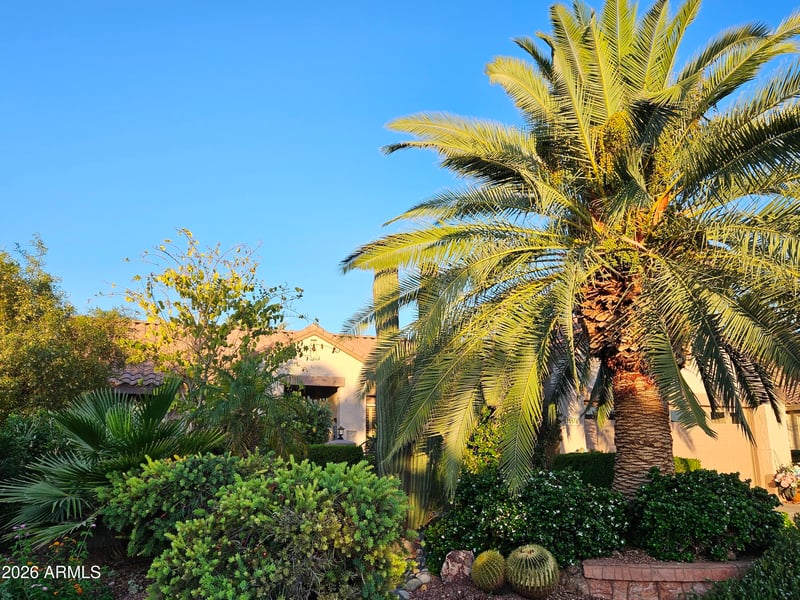 15576 Coral Pointe Dr, Surprise, AZ 85374