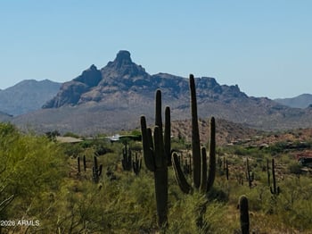 15621 Mustang Dr, Fountain Hills, AZ 85268