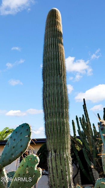 15625 20th St, Phoenix, AZ 85022