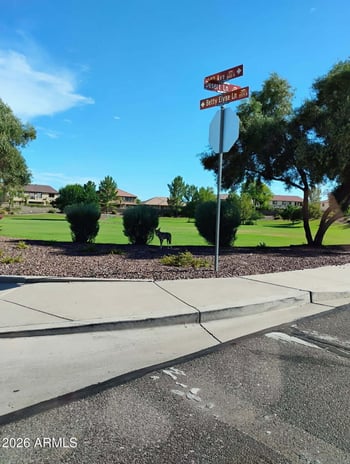 15659 184th Ln, Surprise, AZ 85388
