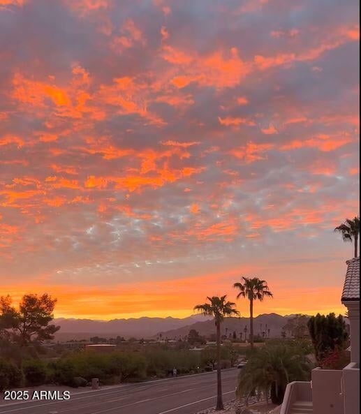 15731 Palomino Blvd, Fountain Hills, AZ 85268