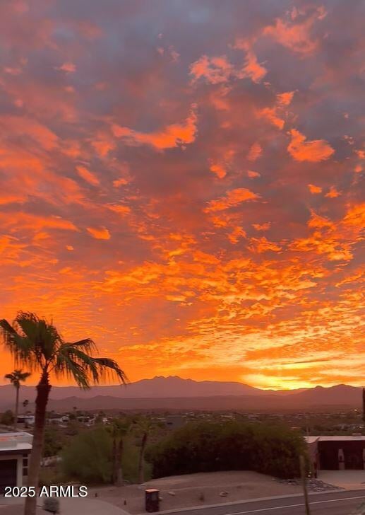 15731 Palomino Blvd, Fountain Hills, AZ 85268
