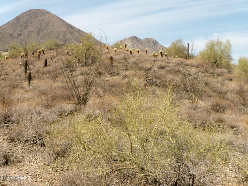 15736 Mountain Pw #225, Fountain Hills, AZ 85268
