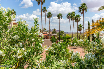 15745 Mustang Dr, Fountain Hills, AZ 85268