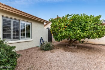 15764 Piccadilly Rd, Goodyear, AZ 85395